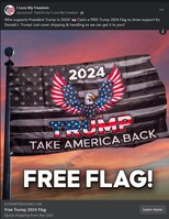 Trump-Take-America-Back-free-flag.jpg