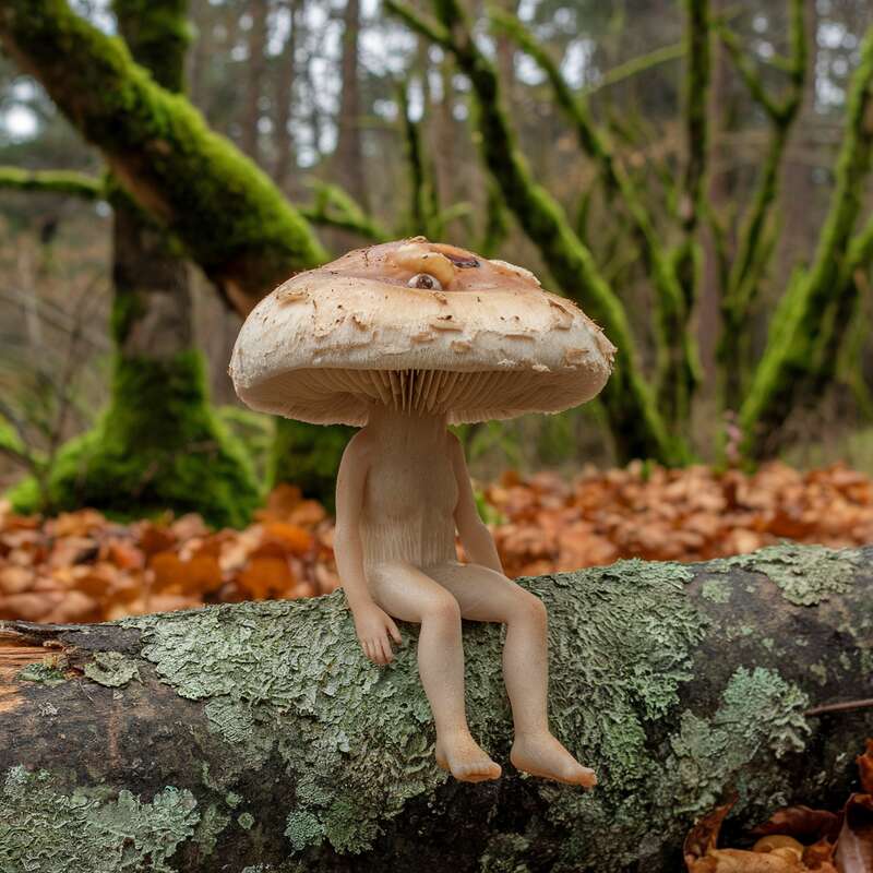 Mushroom-People12.jpg